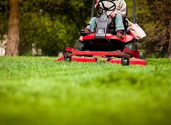 Riding mower cutting a healthy green lawn