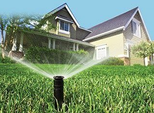 Sprinkler watering a green lawn